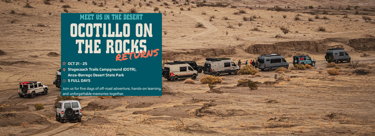 Ocotillo on the rocks 2026
